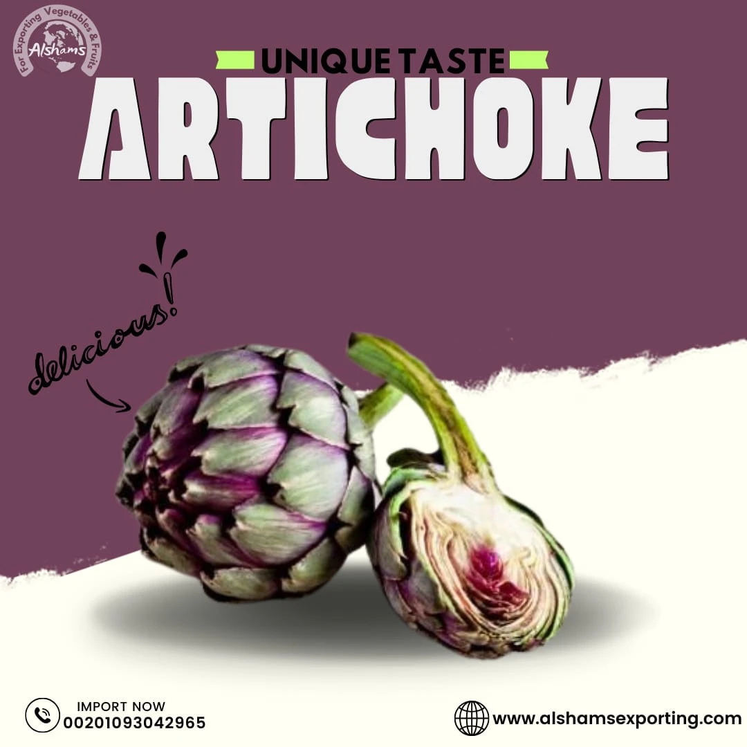 Fresh Artichoke