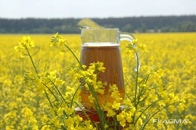 Rapeseed oil