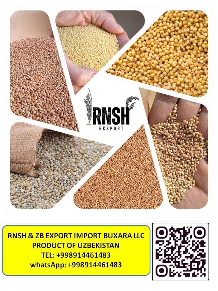 RNSH ZB Export