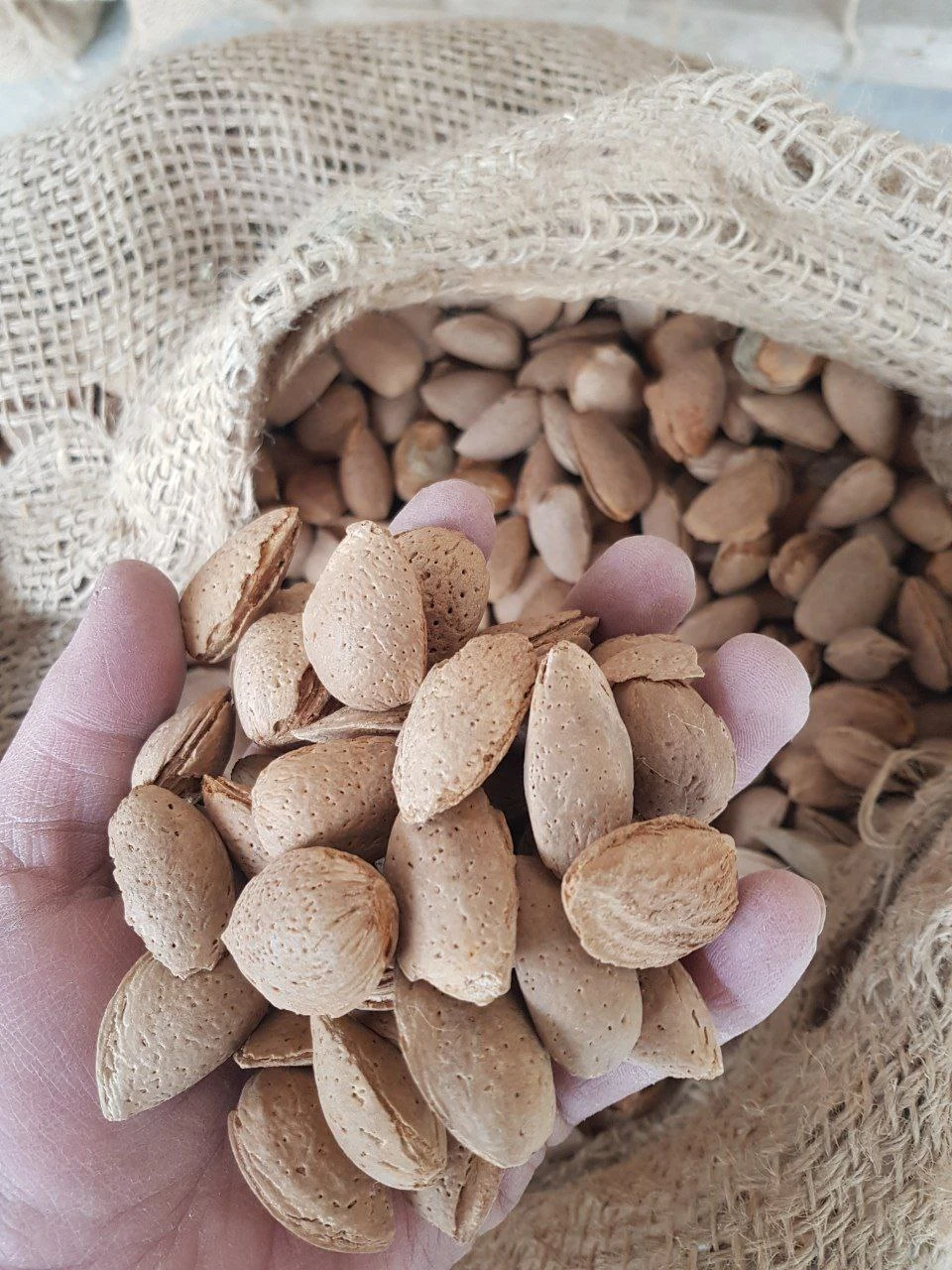Almond nut