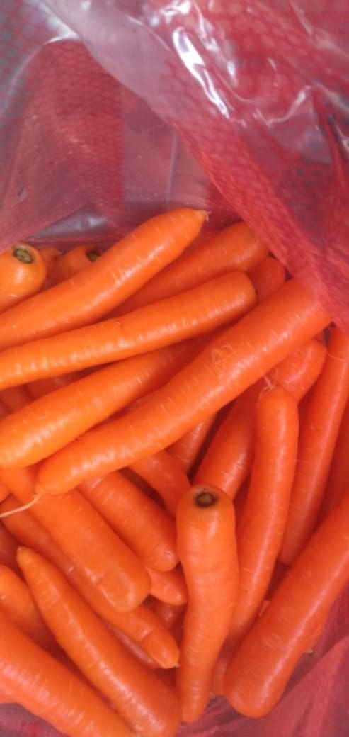 Fresh Carrots